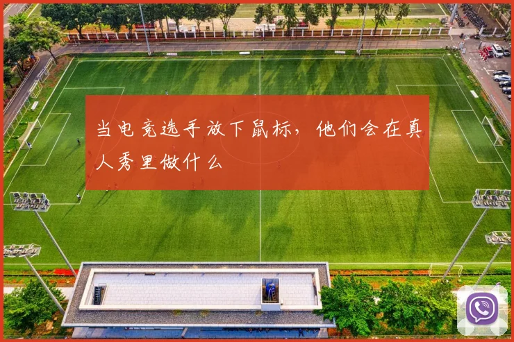 当电竞选手放下鼠标，他们会在真人秀里做什么